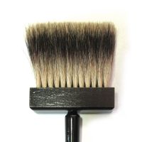 Cliquer pour agrandir