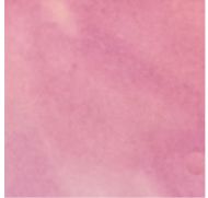 43041-Lead Free Fuse Master EZ Fire Paint Light Purple