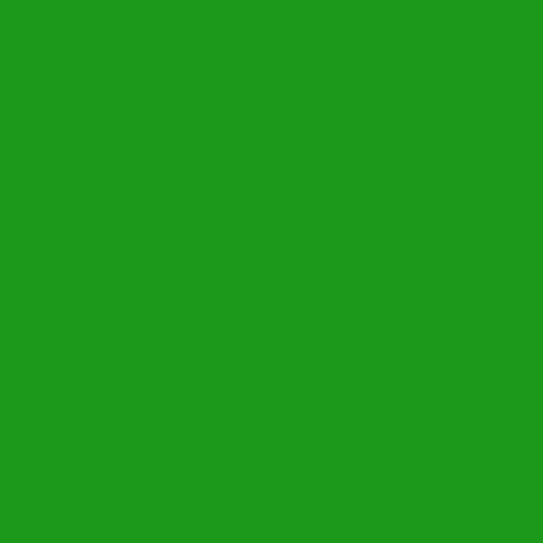 43065-Fuse Master Transparent Paint Spring Green