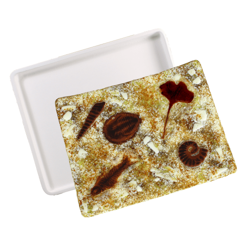 47288-Big Rectangle Dam Patty Gray Mold