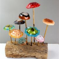 Zum Vergrößern anklicken