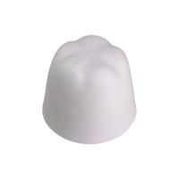 Cliquer pour agrandir