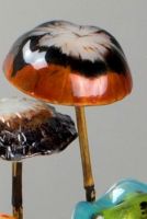 Cliquer pour agrandir