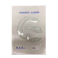 Cliquer pour agrandir