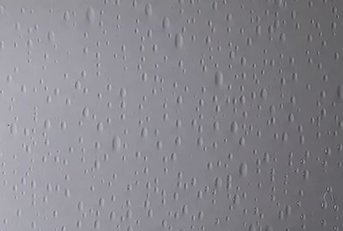 C1098-Value Clear Raindrops