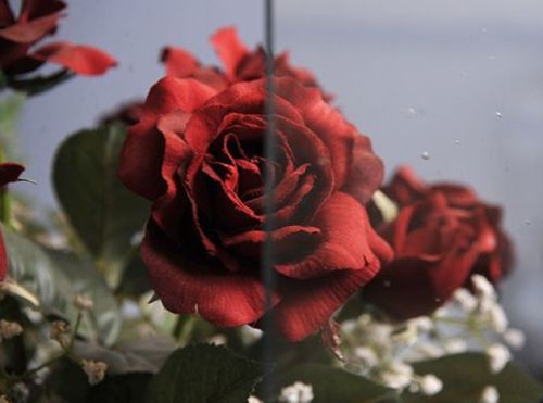 CG105- St.Just Light Colonial Clear Restoration