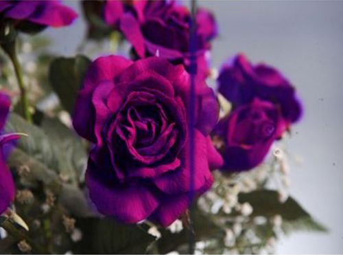 CG110-Victorian Restoration 4MM