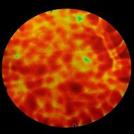 DC692A-CBS Thin Dichroic Red Gold On Black.Aurora Borealis 16"x19" - 96 COE