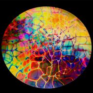 DC892A-CBS Thin Dichroic Mixture On Black Reptilian 16"x19" - 90 COE