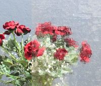 Zum Vergrößern anklicken