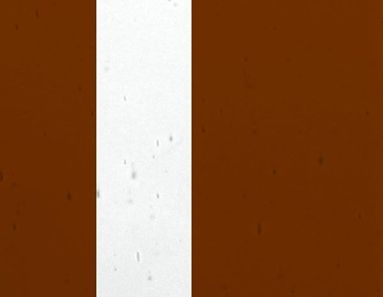 FL555-Lamberts Brown On Clear Flashed