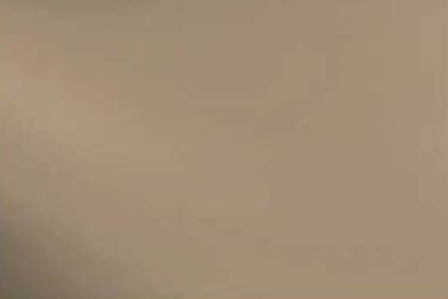 SF5181-96 Bronze Transparent