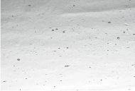 W1007-Clear Seedy #01S