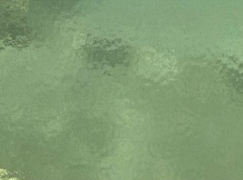 W1030-Pl.Green Trans.#309