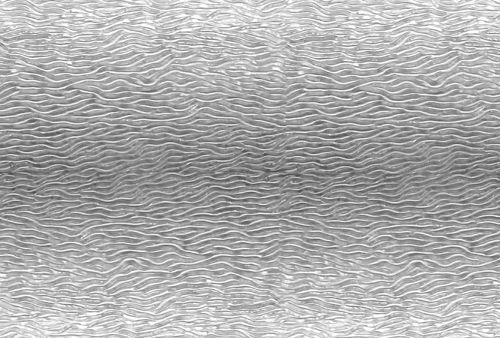 W1400-Clear Stream X Reproduction Ripple #01