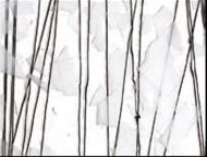 BU4118F-Black Streamer/White Fracture on Clear