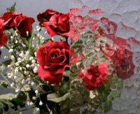 Klik om te vergroten