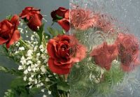 Klik om te vergroten