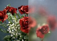 Klik om te vergroten