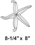 EC303-Exquisite Cluster Starfish