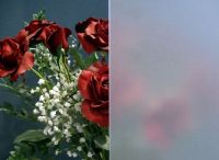 Zum Vergrößern anklicken