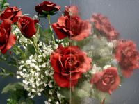 Нажмите для увеличения