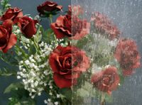 Нажмите для увеличения