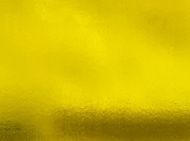 W1016-Yellow Trans.#31